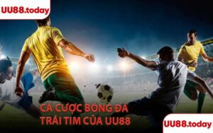 Cá cược bóng đá trái tim của UU88