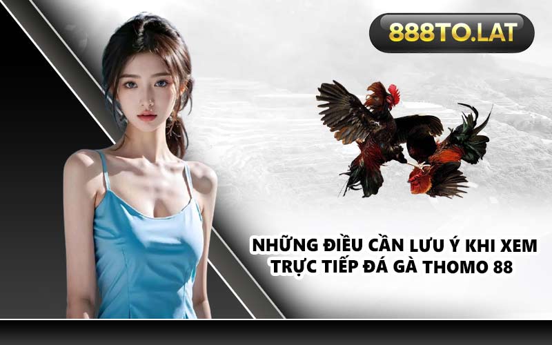 Những điều cần lưu ý khi xem trực tiếp đá gà Thomo 88